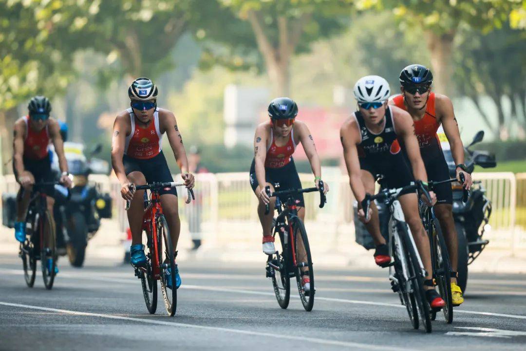 关于铁人三项选手携手获金，团队配合完美的信息