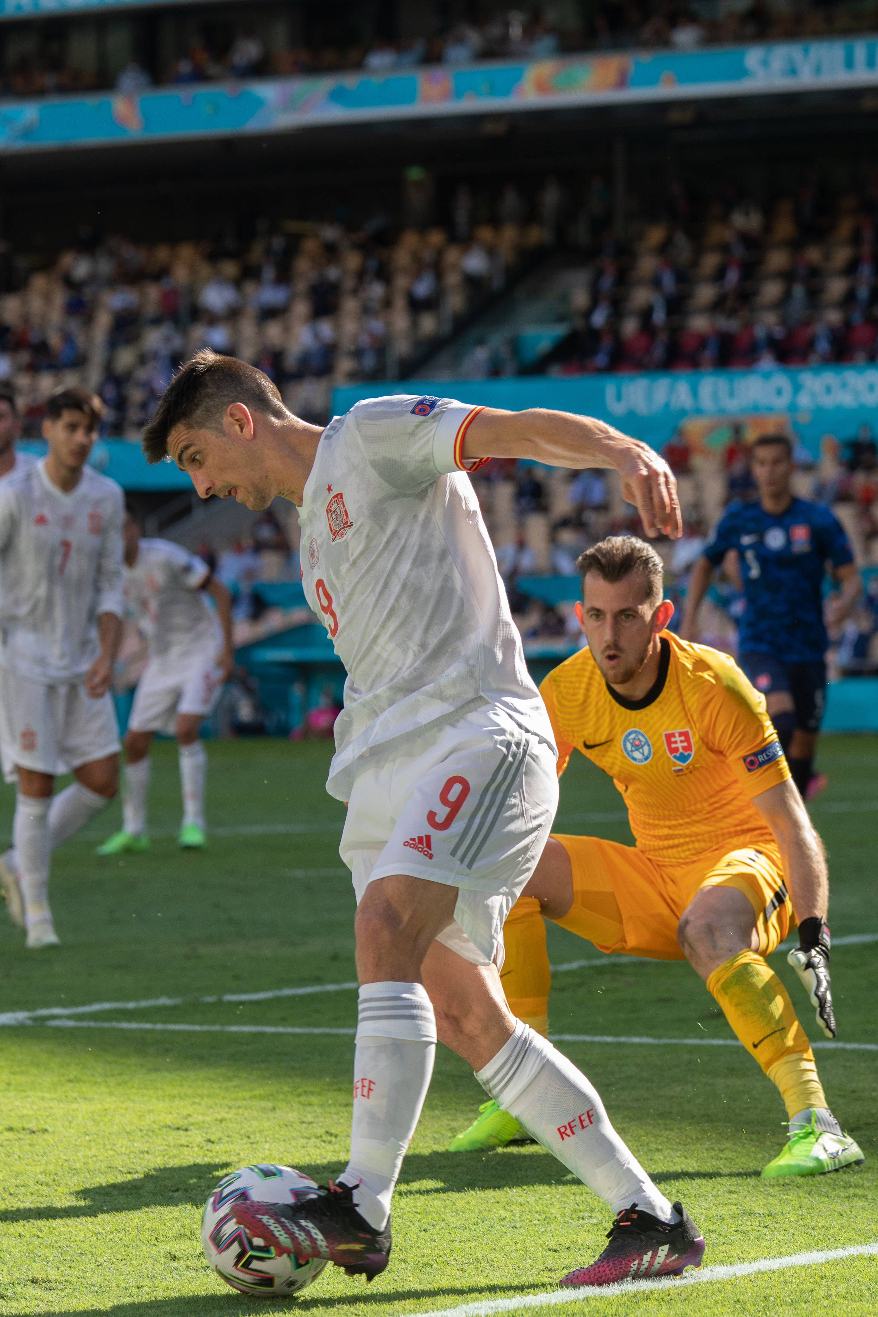 关于保加利亚队失利斯洛伐克，欧锦赛前景黯淡的信息