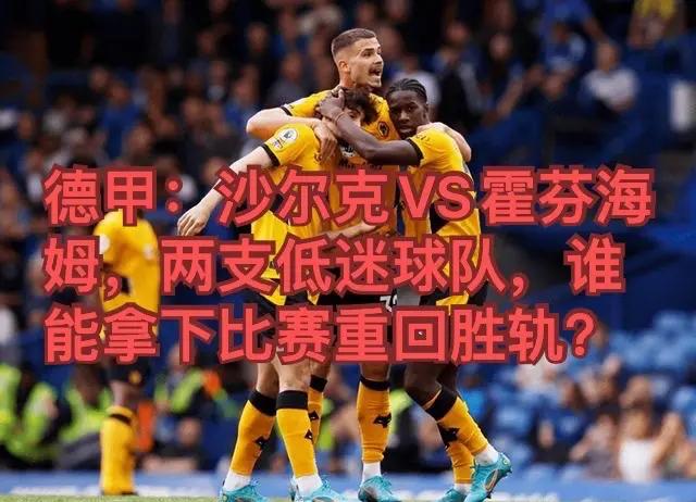 霍芬海姆队备战与弗赖堡的重要对决 霍芬海姆队备战与弗赖堡的重要对决