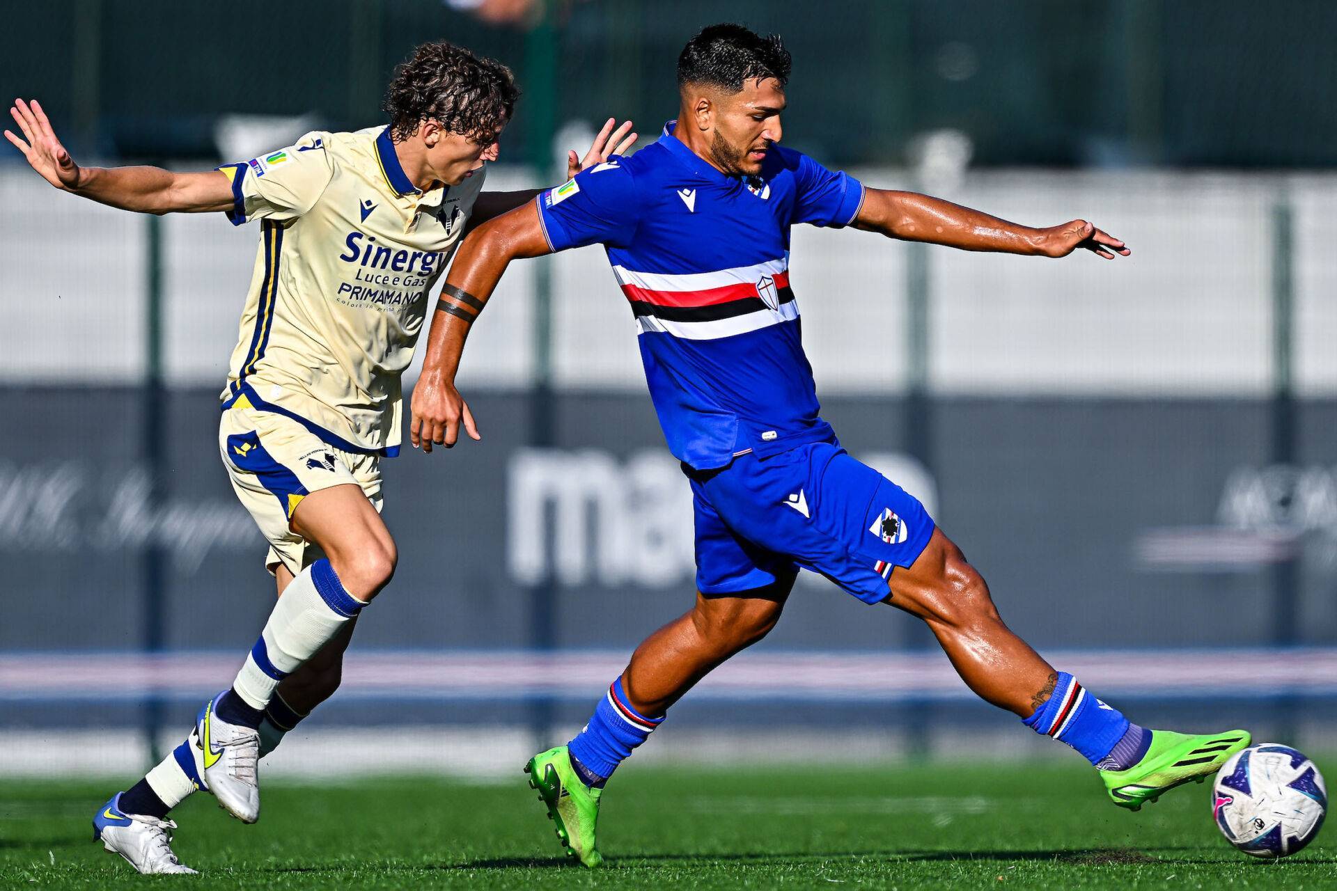 南美球队在亚冠赛场上遭受惨败! 南美球队在亚冠赛场上遭受惨败!