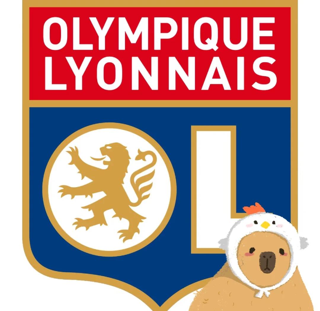 爱游戏官网-里尔客场告捷，独自领跑法甲积分榜